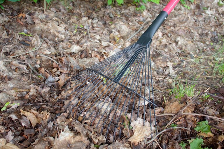 24-Tine Thatching Rake with Fiberglass Handle - Bully Tools, Inc.