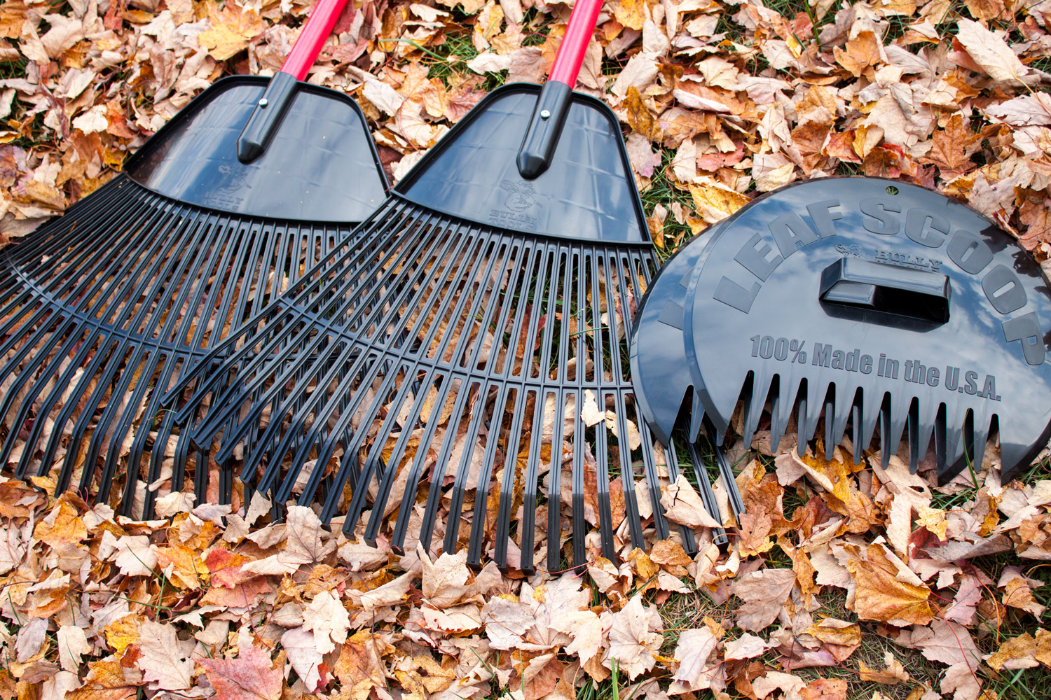 Leaf & Bow Rakes photo