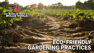Eco-Friendly Gardening Practices