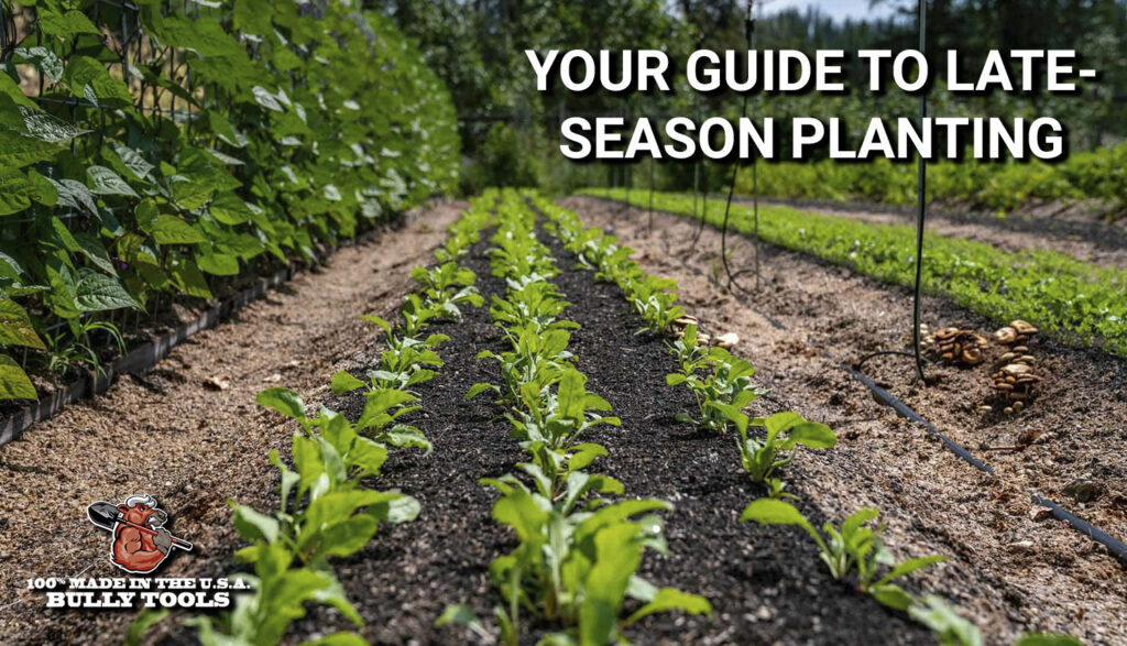 Your Guide to Late Season Planting