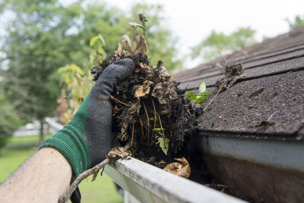 Cleaning leaves and gunk out of gutters