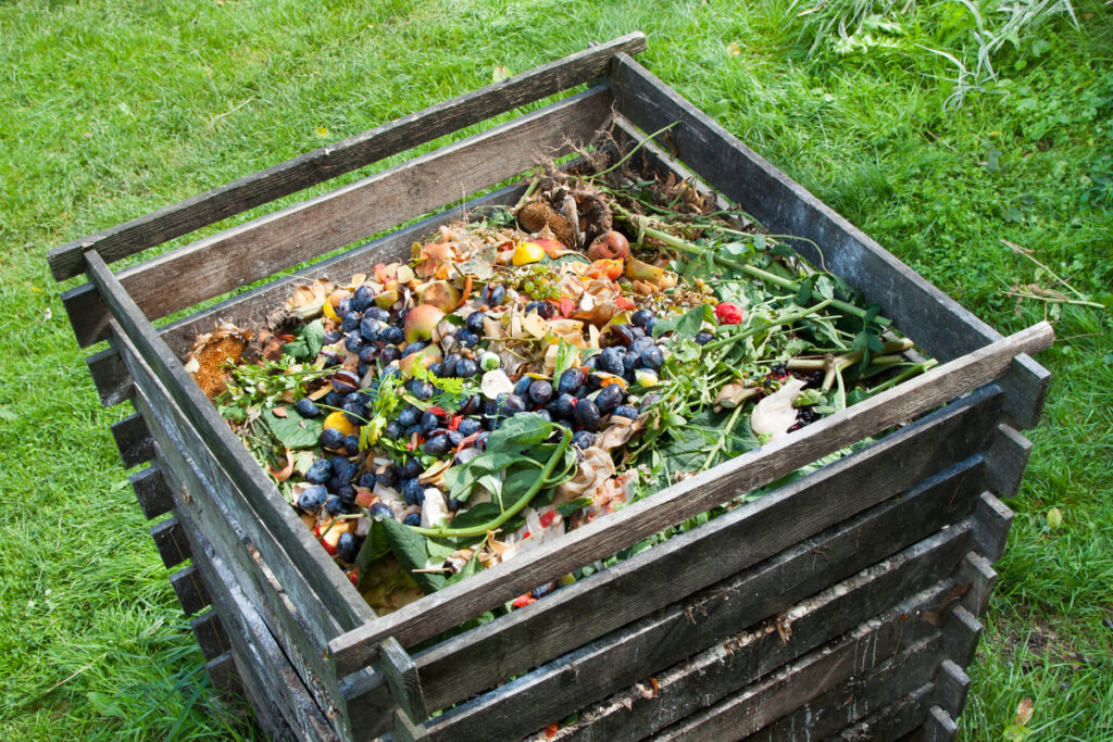 Compost bin with compost