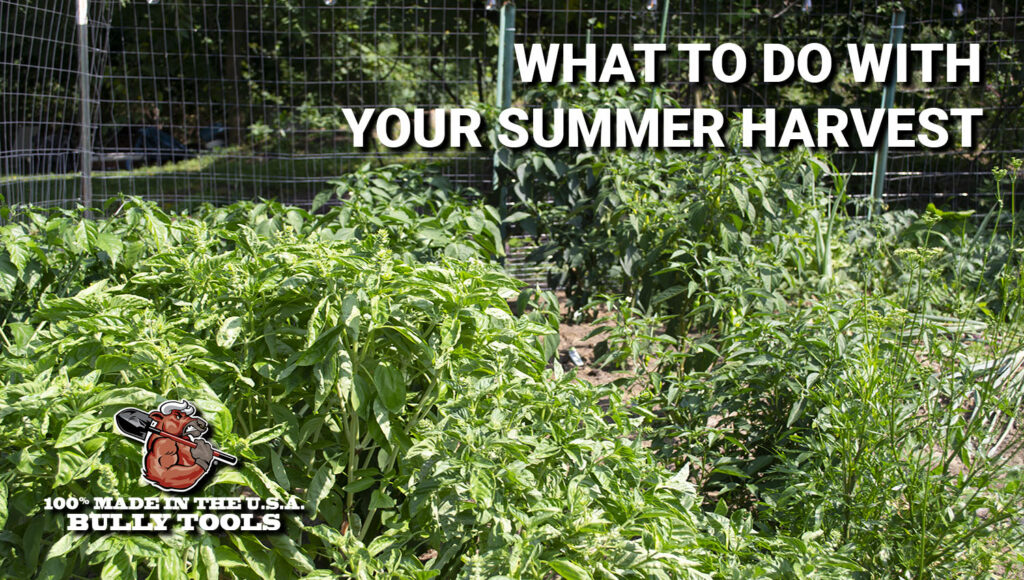 What to Do with Your Summer Harvest