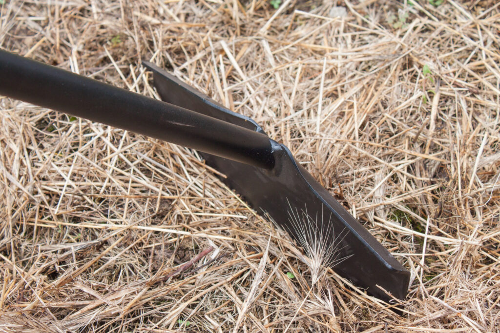 Barn & Stall Cleaning category photo