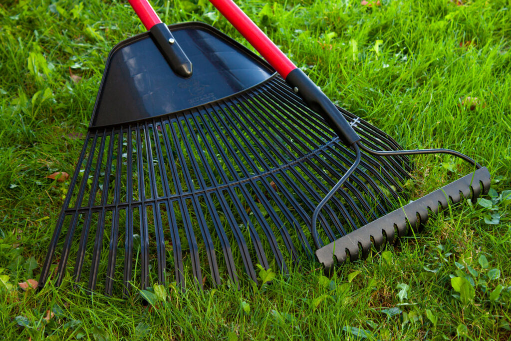 Leaf & Bow Rakes category photo