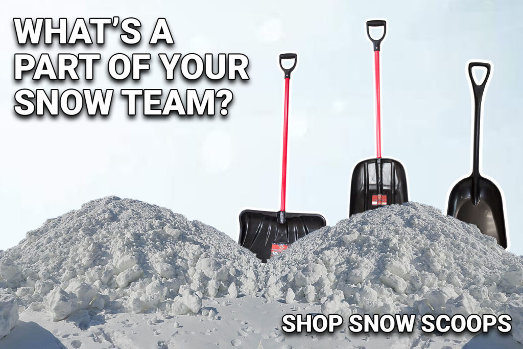 snow team photo
