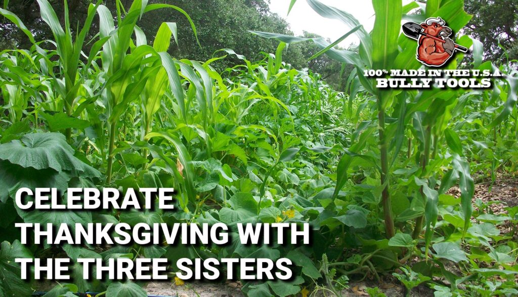 Thanksgiving Three Sisters header