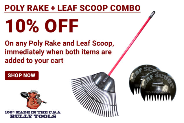 Rake + leaf scoop combo deal