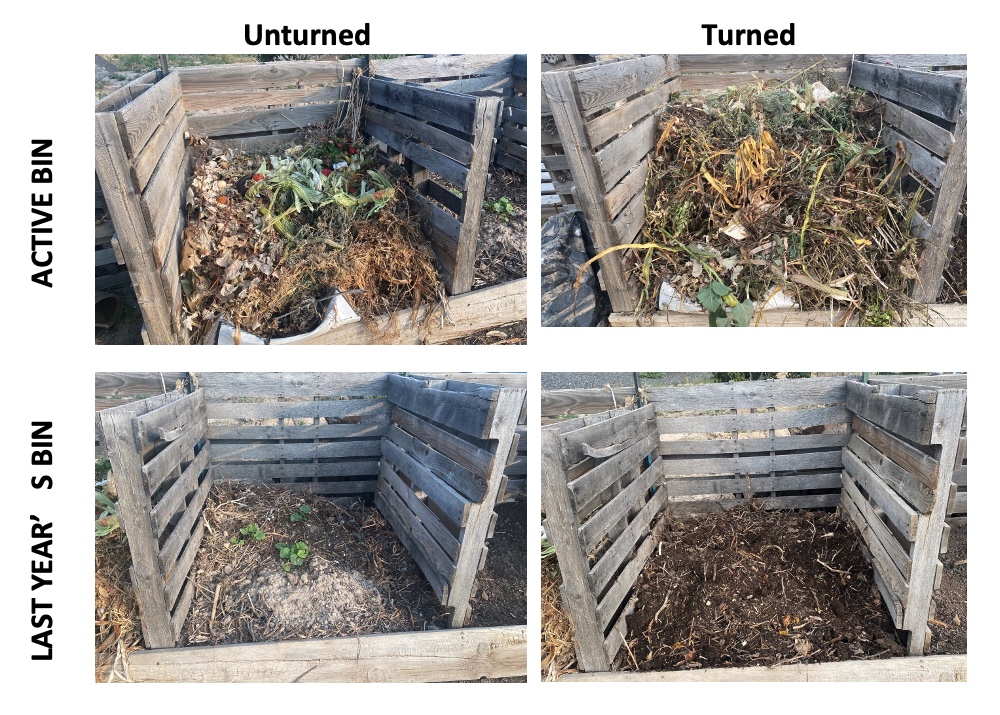 turned vs unturned compost bin