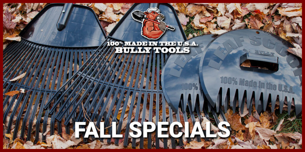 Fall Specials 2022