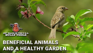 Beneficial Animals and a Healthy Garden header
